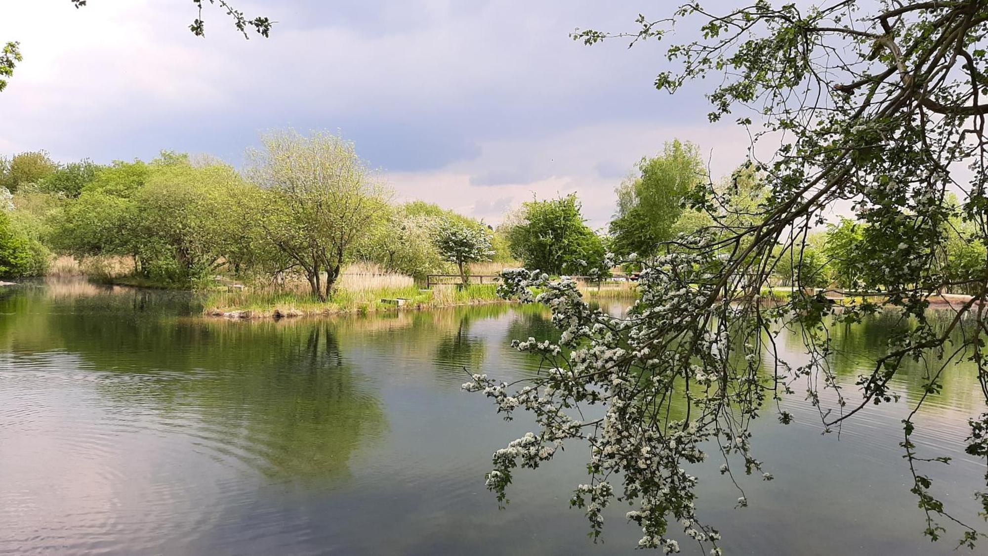 فندق The Salsa, 38 Sunset View Crowle  المظهر الخارجي الصورة